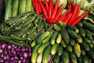 Tropical fruit and vegetable display, bitter gourd, pepper, eggplant, cucumber, okra,