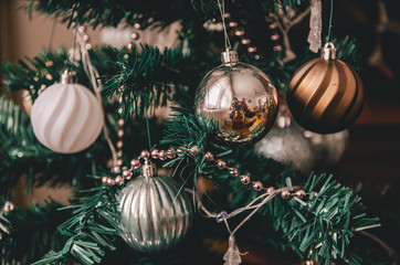 Decorations on a Christmas tree