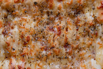 Obraz na płótnie Canvas Background of cheese flatbread