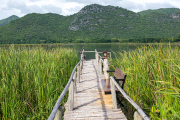 Fototapeta premium Wooden path with mountain