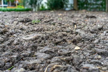 close up black brown soil for reuse and replantation.