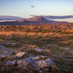 Ingleborough (723 m or 2,372 ft) is the second-highest mountain in the Yorkshire Dales.[1] It is one of the Yorkshire Three Peaks (the other two being Whernside and Pen-y-ghent), and is frequently cli