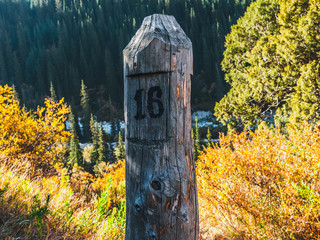old sign in the park