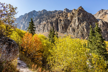 autumn in the mountains