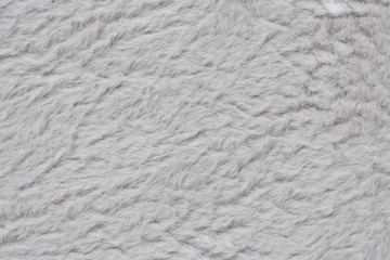 white fur background