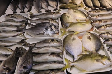 fresh fish at the market