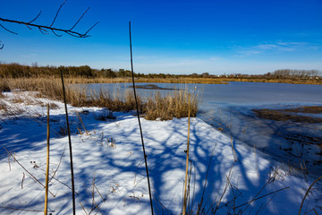 Marsh  Wetlands Winter Cape May New Jersey