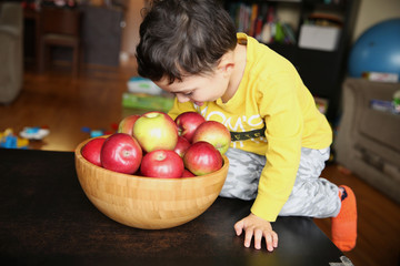 Fototapeta premium little boy three years old looks in an apple basket