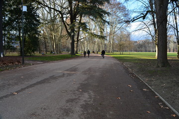 Obraz premium Campo en francia