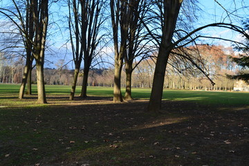 Obraz premium Campo en francia