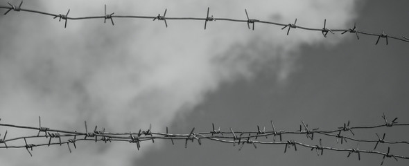 Barbed wire bottom view against the sky. Black and white photo