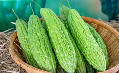 Bitter gourd fresh from the garden in bamboo baskets.