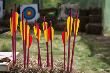 Bright colored arrows in a haystack against the backdrop of a target. Outdoors