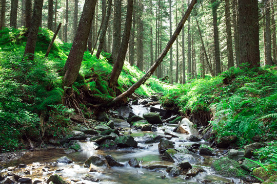 Fototapeta  beautiful deep forest waterfall
