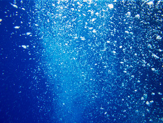 Naklejka premium Tranquil underwater scene with copy space