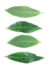 Obraz premium Bay leaves isolated on white background