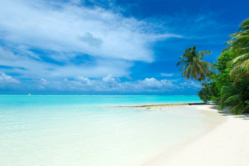 Naklejka premium tropical Maldives island with white sandy beach and sea