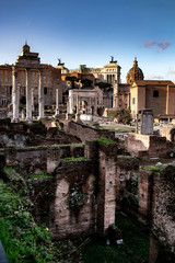 Fototapeta premium Rome Forum Inside Details