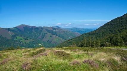 Fototapeta na wymiar Landscape of the Pyrenees on the Spanish side in Roncesvalles, Spain