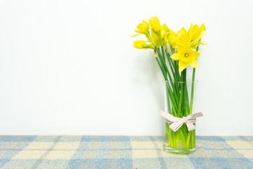 Bright yellow daffodils on blue checkered picnic blanket with copy space