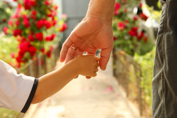  parent holds the hand of a small child