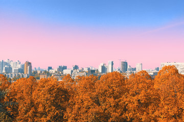 Colorful autumn cityscape with orange leaves tree and pink sky after sunrise.
