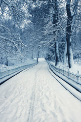Evening winter alley with snowy covered trees in the park.