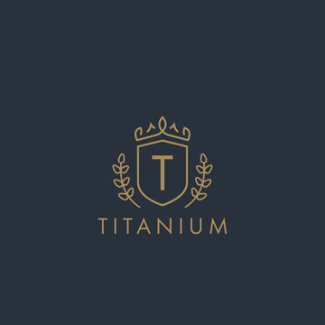 Initials letter T logo business vector template. Crown and shield shape. Luxury, elegant, glamour, fashion, boutique for branding purpose. Unique classy concept.