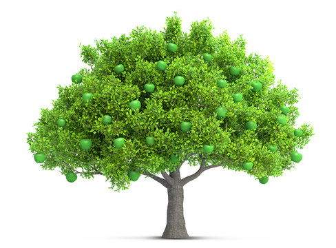 green apple tree isolated 3D illustration