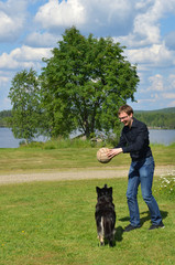 Young man plays with dog with ball in meadow. Finnish Lapland