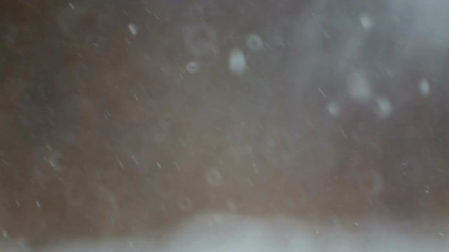 Snowfall in the park on the background of trees. Winter snowfall in the forest closeup.
