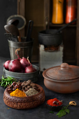 Indian Spices in Indian Kitchen 