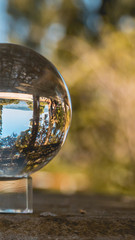 Smartphone HD wallpaper of landscape shot at mainau island - Bodensee - Bavaria - Germany