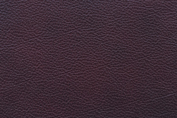 Fototapeta premium Texture of dark brown natural leather with pronounced embossing for background and design.