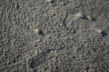 Fusspuren im  Sand