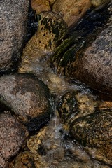 Ruisseau dans le parc national de Peneda-Gerês, Minho, Portugal