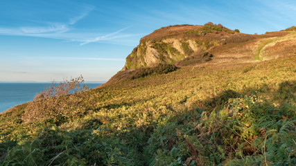 Fototapeta na wymiar The Bristol Channel and Hillsborough Hill near Ilfracombe, Devon, England, UK
