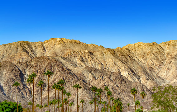 Mountain range and plam trees at La Quinta, California in the Coachella Valley