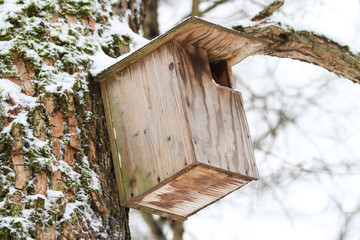 Beautiful view small, wood bird house in a cold winter day with snow on trees.