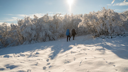 Crimea