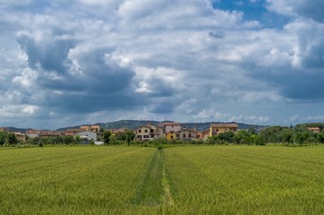 Fototapeta na wymiar Paesaggio di campagna con prato e case sullo sfondo