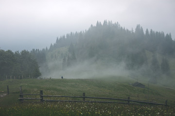 Misty landscape with fir forest in hipster vintage retro style