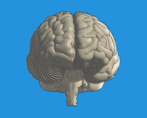 Brain engraving graphic illustration on blue BG
