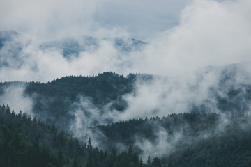 Misty landscape of mountain and forest. Summer foggy and cloudy morning