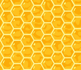 Vector. Seamless pattern photo realistic honeycomb. Layers good separated.