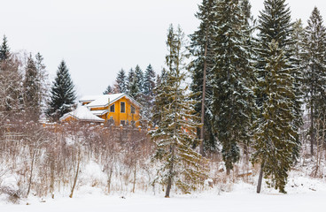Wooden ochre cottage in a winter forest landscape, snowing time, selective focus