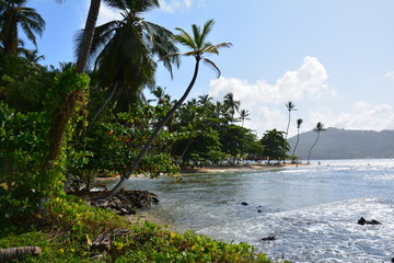 Obraz premium Isla Mamey au Panama - Mamey island in Panama