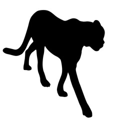 Silhouette of the Lynx on a white background