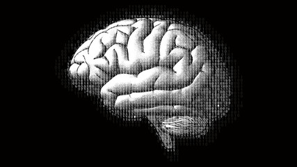 Digital code brain illustration isolated on black BG