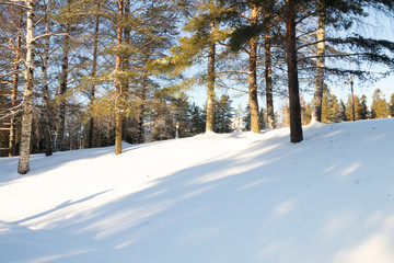 Winter forest landscape at sun rays in Finland.